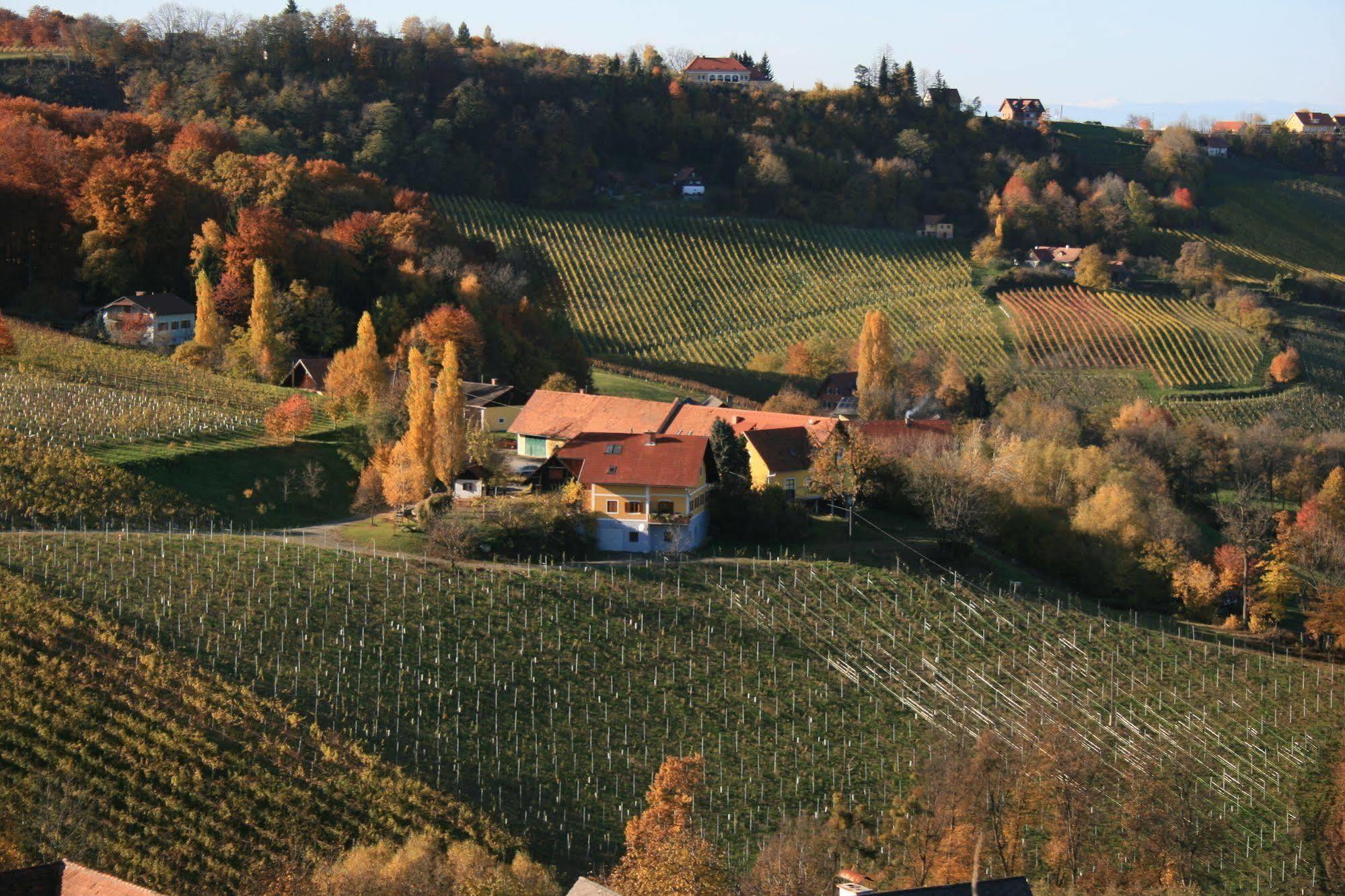 Weingut Primus Suedsteiermark Spielfeld Eksteriør billede