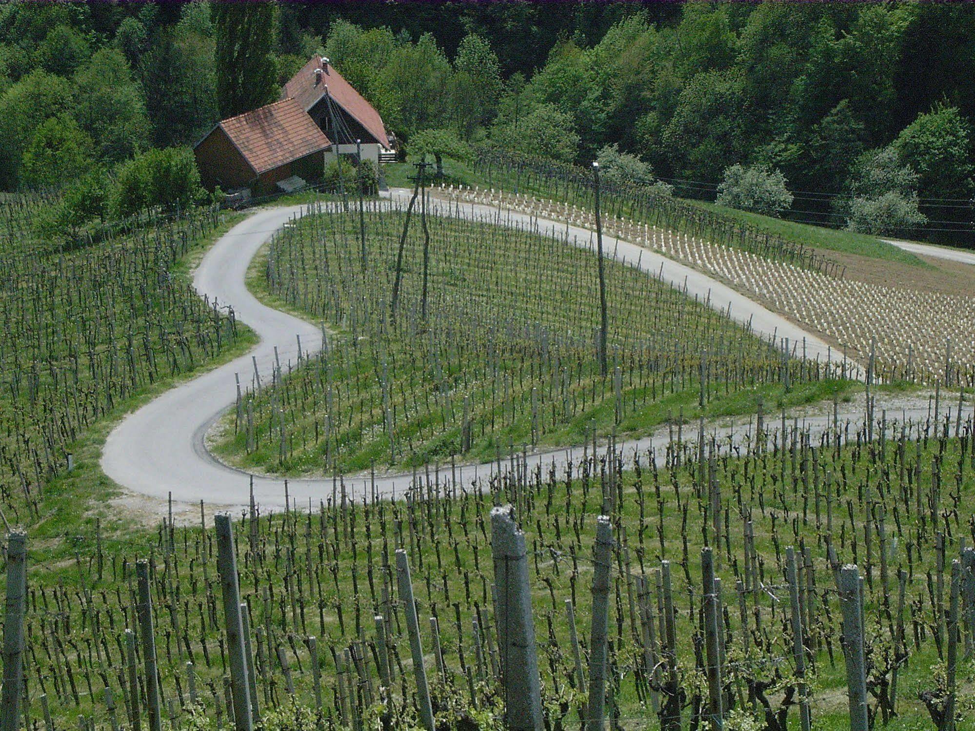 Weingut Primus Suedsteiermark Spielfeld Eksteriør billede